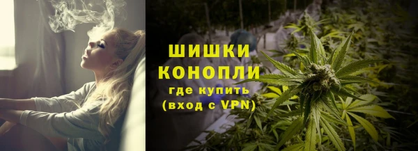 прущие грибы Абдулино