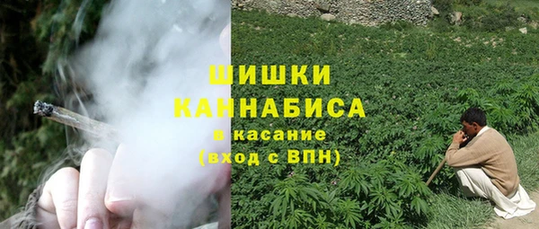 прущие грибы Абдулино