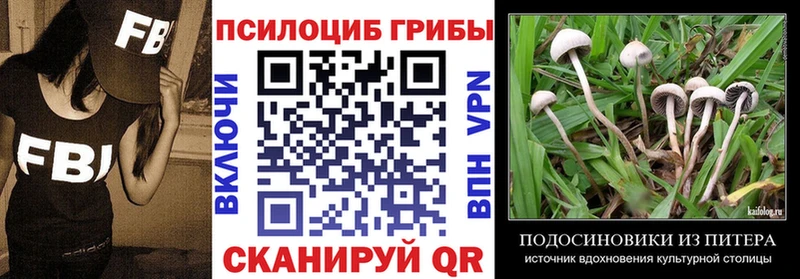 Псилоцибиновые грибы MAGIC MUSHROOMS гидра маркетплейс Кандалакша где можно купить