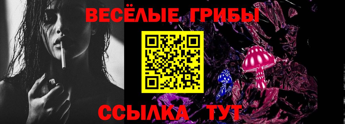 Кандалакша  Псилоцибиновые грибы Psilocybe  Вход с VPN 